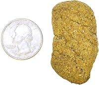 Vista 3 de Monkey Biscuits (naranja, 9 libras) - Galletas saludables y crujientes para perros de pradera, loros, ardillas, planeadores de azúcar, hámsters