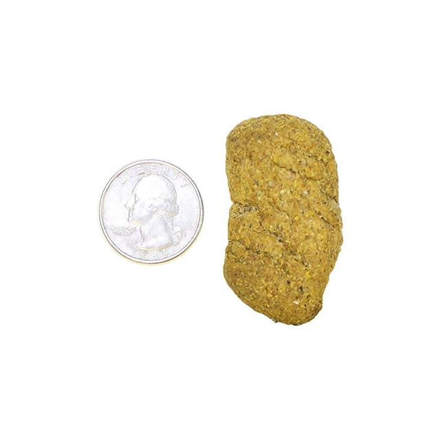 Foto 5 de 7 de Monkey Biscuits (estándar, 3 lb.)