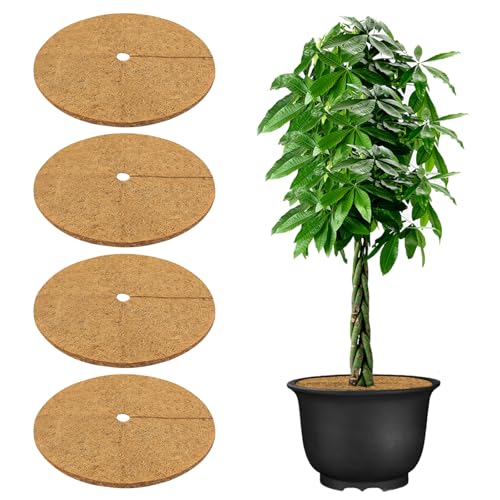 Zhiaek 4 Pièces 30CM Fibre de Coco Paillage Plante Exterieur Protection Hivernale pour Plantes Tapis Fibre Coco Plantes Disques Paillis pour Jardin