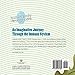 Battle with the Bugs: An Imaginative Journey Through the Immune System (Human Body Detectives)