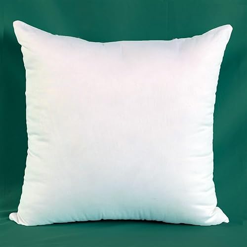 Miniatura 4 de Allisbest Juego de 2 cojines de tela de algodón de 20 x 20 pulgadas, rellenos de almohada alternativos de plumón para fundas de almohada decorativas