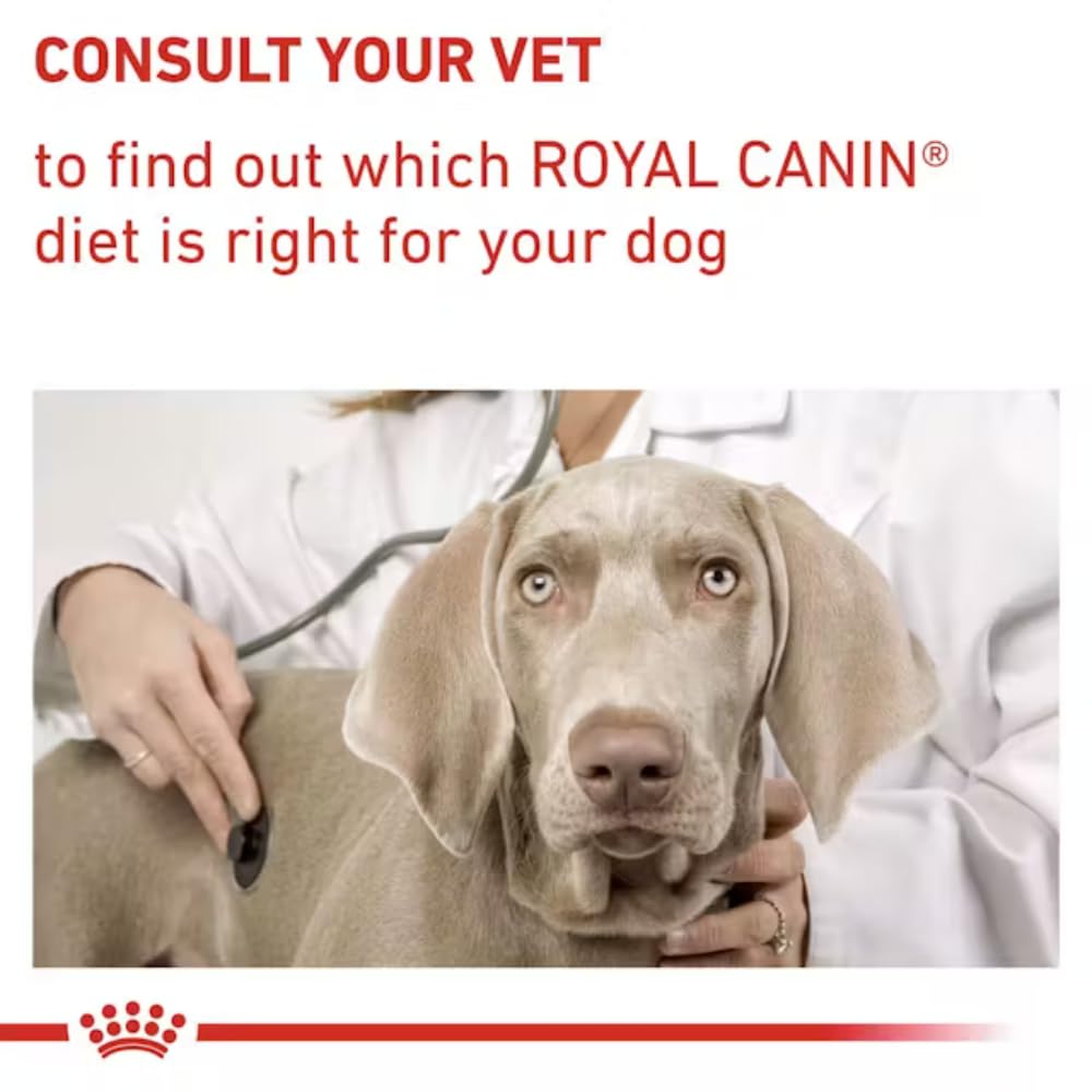 VHN Dog Anallergenic 8kg