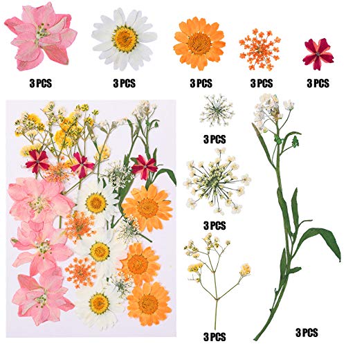 115 Pieces Real Dried Pressed Flowers Leaves Natural Dried Flowers Diy Pressed Flowers Mixed Flowers Colorful Daisy, Rose, Narcissus For Resin Jewellery Nail Pendant Crafts Making Supplies #TOP1