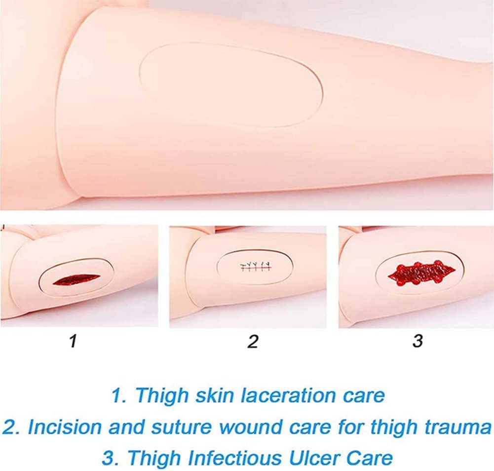 PVC Vollfunktionsfähige Patientenpflege Manikin Lehrmodell Krankenpflege Medizin Schule Patientenpflege Ganzkörper für Studenten Bildung Unterricht medizinische Ausbildung, 170 cm