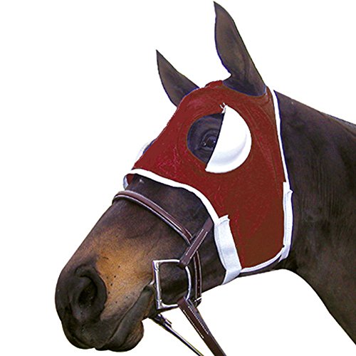 Horse Blinkers for sale Only 4 left at 60
