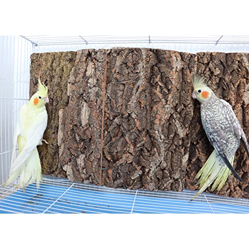 Image of 2 Pack 12 x 8 Inch 100% Natural Cork Perch, Bird Cork Seat Boards, Birdcage Bark Decor Accessories for Birds Parakeets Budgie Parrot Cockatiel Hamster Guinea Pig Rat