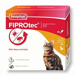 Beaphar | FIPROtec Spot-On for Cats | Kills Fleas & Ticks | Vet Strength Treatment | 4 Pipettes