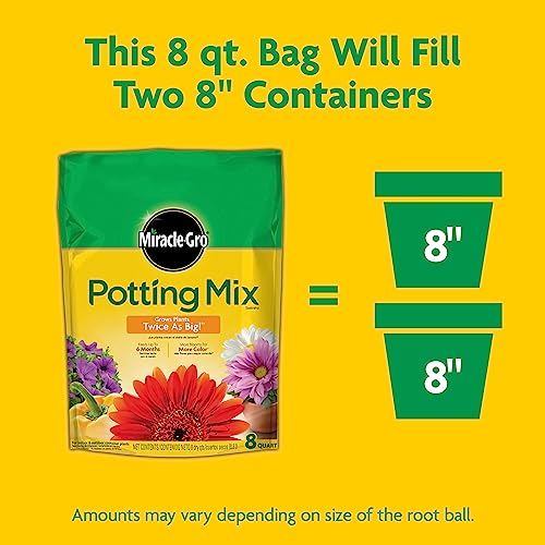 Image of Miracle-Gro Potting Mix, For Indoor or Outdoor Potted Plants, Flowers, Vegetables, Shrubs, Annuals, and Perennials, Feeds Up to 6 Months, 8 qt.
