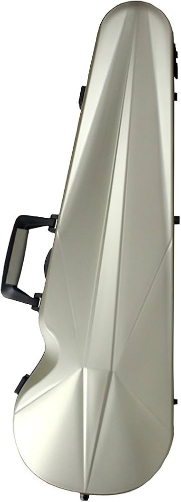 Amazon.com: Bam France - L'Opera Hightech Contoured Violin Case