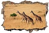 DesFoli Giraffe Safari Afrika Savanne 3D-Optik Wandtattoo 70 x 105 cm Wandbild Sticker Aufkleber D061
