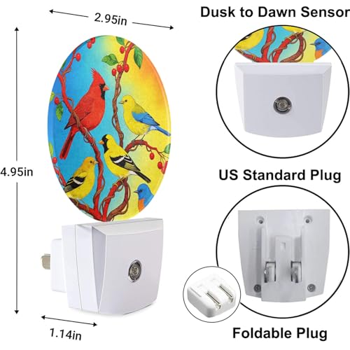 Image of Lovely Bird Lamp Parrot Night Light Parrot with Colourful Feather Night Lights Plug into Wall for Boys Girls, Plug-in Nightlight 0.5W LED Lighting for Stairway Hallway Bedroom