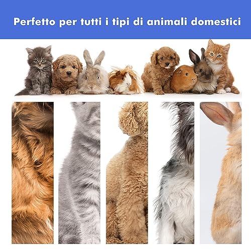 Neakasa P1 PRO Kit per toelettatura e aspirazione a Vuoto per Animali Domestici, Tosatrice per Cani e Gatto Pelo Lungo Professionale, con spazzole per Cani e Altri 5 Strumenti per la toelettatura
