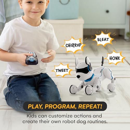 Top Race Ferngesteuertes Roboter-Hundespielzeug für Kinder, interaktives und intelligentes Tanzen, um den Welpenroboter zu schlagen, benimmt sich wie echte Hunde, Geschenkspielzeug für Mädchen und Jun