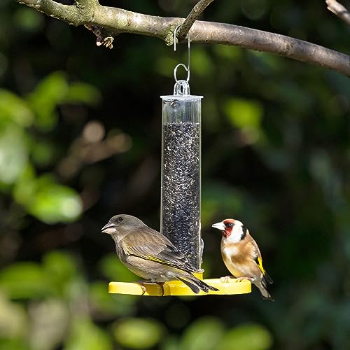 Jacobi Jayne® Pre-filled Niger Bird Feeders for Garden Birds Goldfinch Finder Pack of Two - Image 3