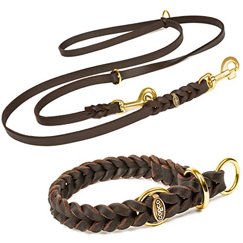 Hundeleine Leder 2m kleine Hunde leicht Fettlederleine [3-Fach Verstellbar] Lederleine geflochten – robuste Leine Hund mit Messingbeschlägen – Führleine Hund & Freihandleine zum Umhängen, Braun 8mm