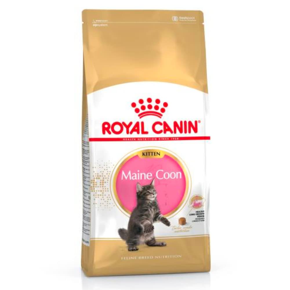 ROYAL CANIN Cibo per gatti Kitten Maine Coon 10 Kg