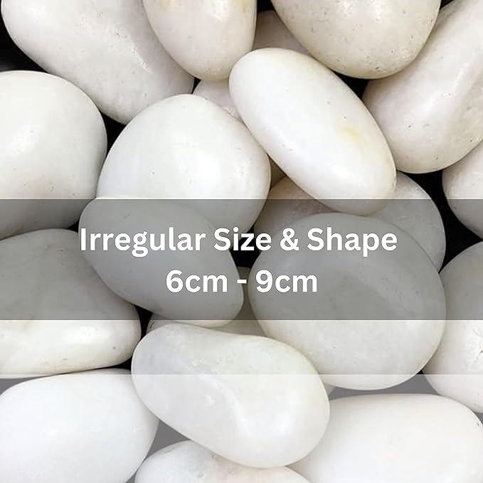 Image of Decorative Pebble Stones,For Garden /Lawn /Aquarium Decoration Glossy Stones For Home Decorative(6 Kg White Polish Jumbo)