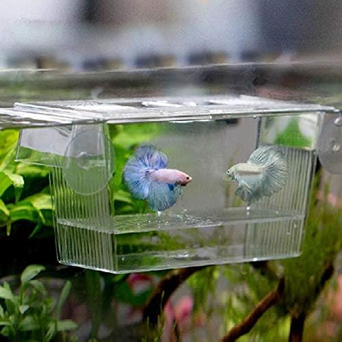 Fish Tank Transparent Fish Tank Breeding Isolation Box Aquarium Incubator Hatching Boxes Multifunctional Acrylic Fish Tank Holder Aquarium Tank