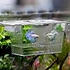 Aquarium Transparante aquarium fokken isolatie doos aquarium incubator broedeieren multifunctionele acryl vis tankhouder