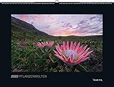 Pflanzenwelten 2022: Wandkalender (KUNTH Wandkalender Black Edition 60 x 45 cm) - Herausgeber: KUNTH Verlag 