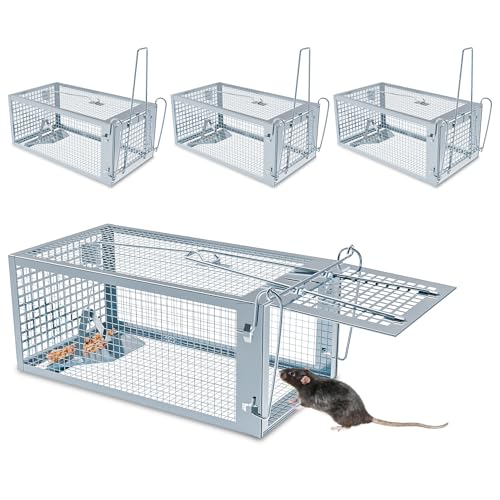 How can i get squirrels out of my garage