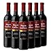 Mayor de Castilla Roble Vino Tinto D.O Ribera del Duero - Caja de 6 Botellas x 750 ml