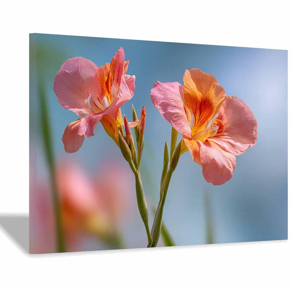 ZAMAEIU Nature Landscape Picture Twin blossomss unfurl Large Modern Scenic Painting, for Living Room Bedroom Bathroom Dinning Room Home Office Wall Decor(pink)-70x100cm Framed