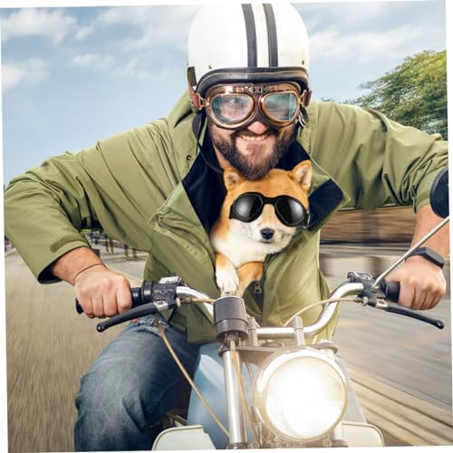 Casque et lunettes pour chien accessoire sécurité animaux noir