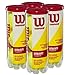 Wilson Championship Extra Duty Tennis Balls - 4 Pack (12 Balls)