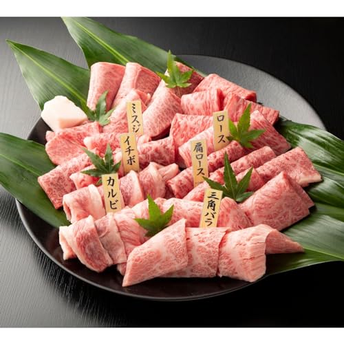 ̓ _ˋ _˃r[t ēZbg XI6 600g _ˋؖ tD ϔ Mtg p