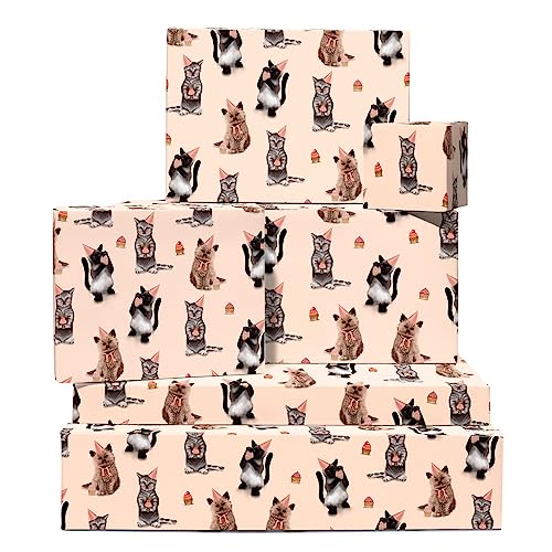 Central 23 - Cat Wrapping Paper - 6 Sheets Of Pink Birthday Gift Wrap - Kittens In Hats - For Women Girls New Baby - Recyclable #TOP23