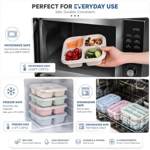 Image of 4 Compartment Snack Box Pack of 4 | Reusable Bento Lunch Box with Divided Sections | Meal Prep Food Storage Containers for Kids & Adults | School, Office, Travel & Picnic