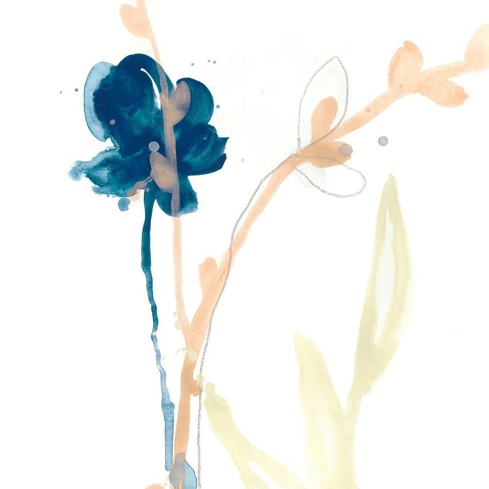 Póster de Botany Gesture V - June Erica Vess (12 x 12)