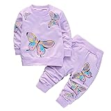 WIAINIBIBI Butterfly two-piece children's set, children's fashionable children's clothing hoodie, two-piece children's clothing set (purple, 1-2Y)