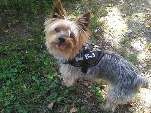 julius k9 personalised labels