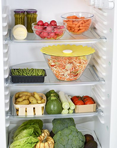 Charles Viancin Daisy Coperchio ermetico, in