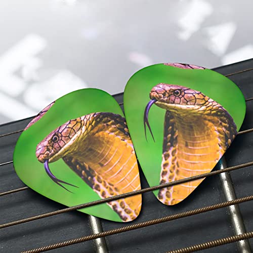 Pack de 12 médiators Cobra Snake pour guitare électrique guitare acoustique guitares diverses - Les Beatles, Paul McCartney, John Lennon, RIngo Starr, George Harrison Pack de 12 médiators Cobra Snake pour guitare électrique guitare acoustique guitares diverses – Image 7