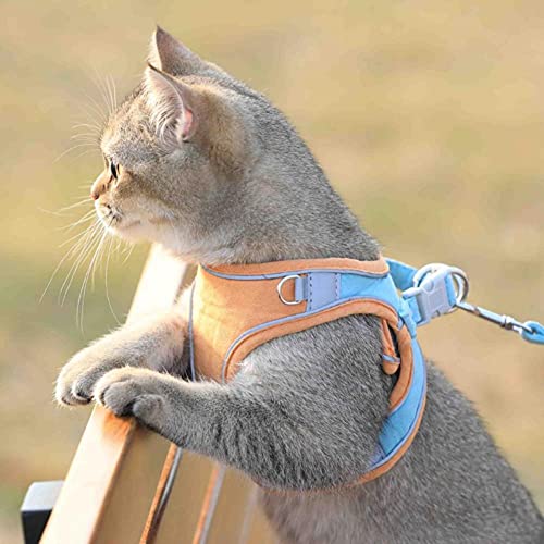 Harnais pour chien avec laisse réglable et respirable taille XS
