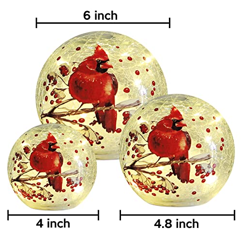 Kaowod Crackle Glass Ball Cardinal Lamp, Light Up Red Cardinal Stained Glass Decor Accent Lamp, Lighted Red Bird Globe Glass Table Lamp, Orb Cardinal Night Light, Led Sphere Desk Lamp #TOP3