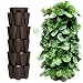 Huge GreenStalk 5 Tier Vertical Garden Planter with Patented Internal Watering System Great for Growing a Variety of Strawberries, Vegetables, Herbs, Flowers (Chocolate Brown)