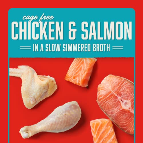 Stella & Chewy's Cage Free Chicken & Salmon Shredrs - Premium Dog Food Pouches - Perfect For Picky Eaters- 24 Pack, 2.8oz Each - image 4