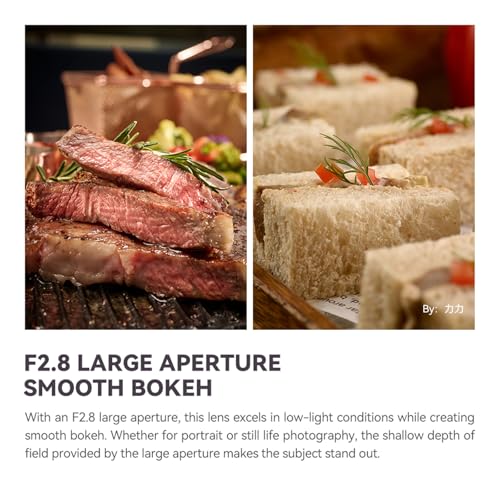 TTArtisan 100mm f/2.8 Macro Lens for Canon RF Mount 2X Magnification Full Frame Manual Focus Mirrorless Camera Lenses EOS R RP R5 R5C R6 R6II R7 R10 R50 R100