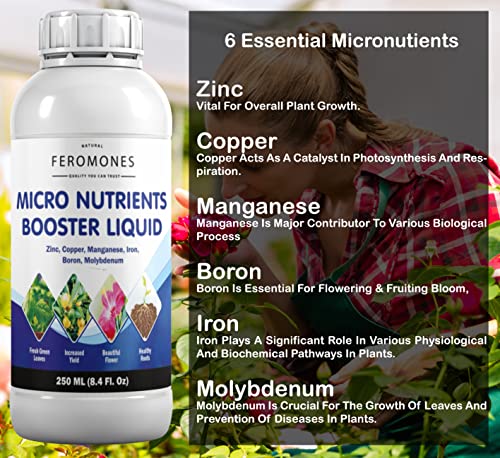 Image of Combo Of Pure Seaweed Extract And Micro Nutrient Booster Liquid - Fertilizer For Home Gardening