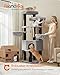 Feandrea Kratzbaum groß, mehrstöckiger Katzenbaum, XXL, 55 x 55 x 186,7 cm, 11 cm d Dicke Sisalstämme, für große Katzen wie Maine-Coon-Katze, Katzenkratzbaum, Taubengrau-tintenschwarz PCT008G02