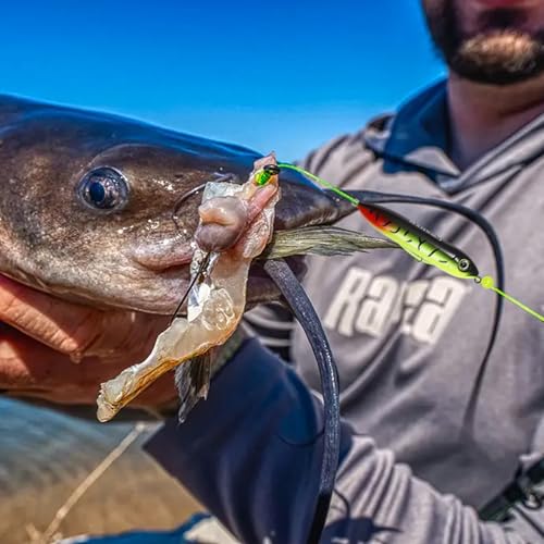 CWSDXM Demon Dragon Catfish Rig