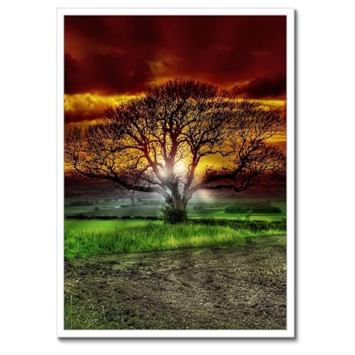 Poster Arbre magique cadre noir déco murale salon moderne 50x70cm
