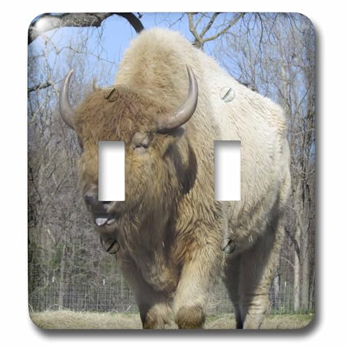 Double interrupteur à bascule American Bison Buffalo 3dRose lsp_50410_2 pour décoration murale
