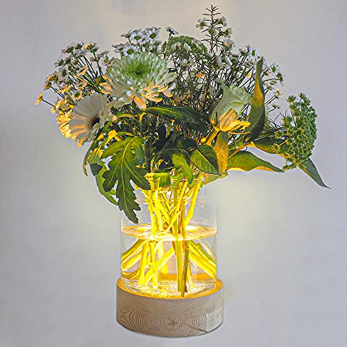 Jarrones Decorativos Cristal Modernos Marca Gadgy