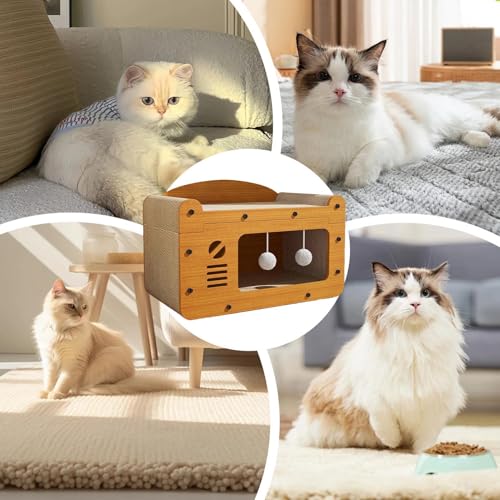 Griffoir pour chat et chaton : lit griffoir d'intérieur 2 en 1 pour meuler les griffes - 7