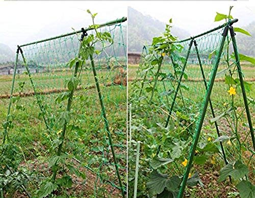 Ez4garden Multi-Purpose PE Plant Trellis Netting Garden Protect Poultry Breeding Anti-Bird Net,6 Strands,Netting Size:W5xL20',Mesh Size:1.18